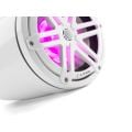 JL AUDIO M3-770ETXv3-Gw-S-Gw-i SPEAKERS